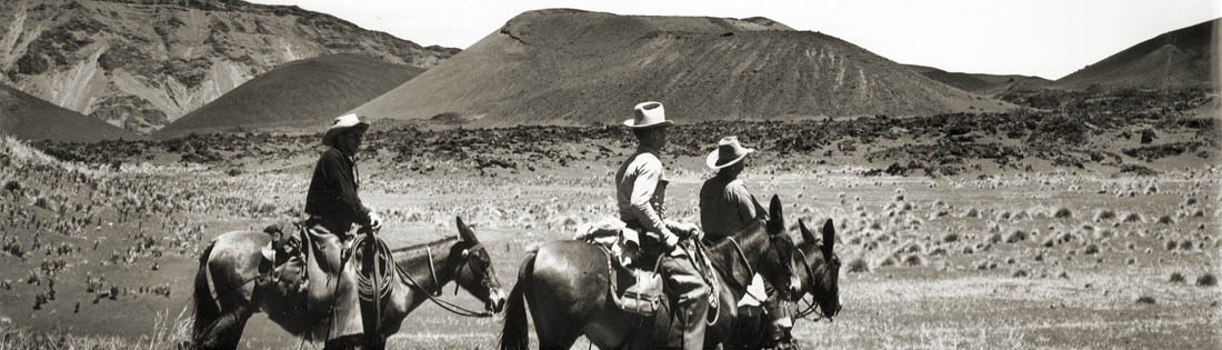 Haleakala Ranch Paniolo