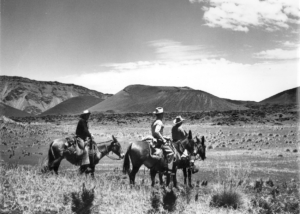 Haleakala Ranch Upcountry Maui