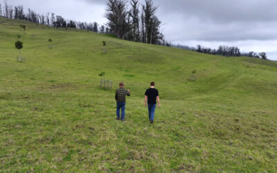 Haleakalā Ranch – Making the Mauka/Makai Connection