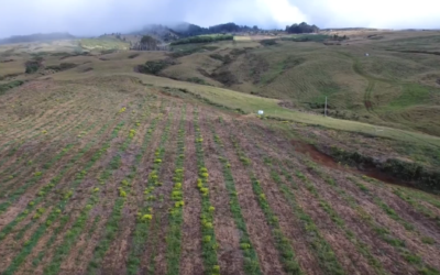 Paniolo at Haleakalā Ranch