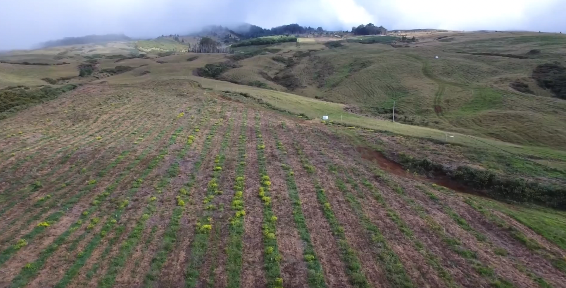 Paneolo at Haleakalā Ranch