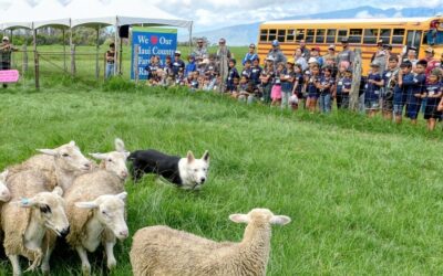Want Students to Learn? Take Them Outside! 