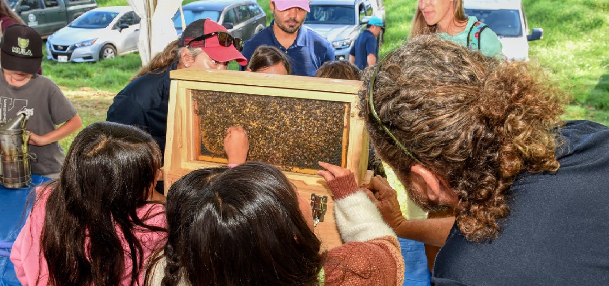 Ag in the Classroom at Haleakala Ranch