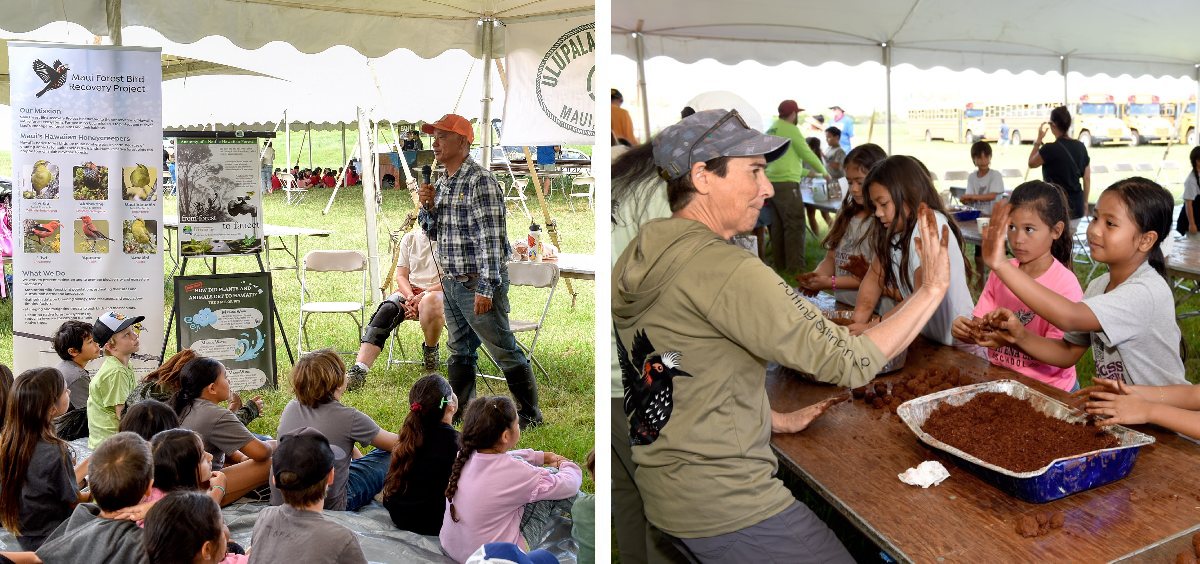 Ag in the Classroom at Haleakala Ranch