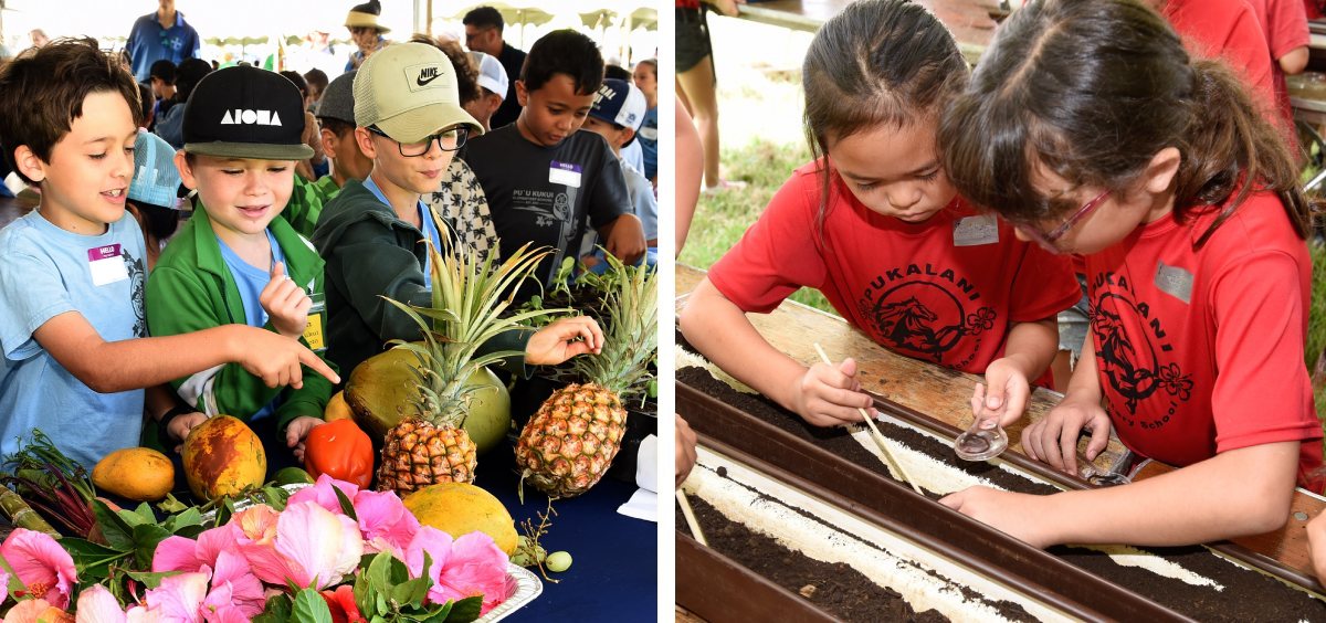 Ag in the Classroom at Haleakala Ranch